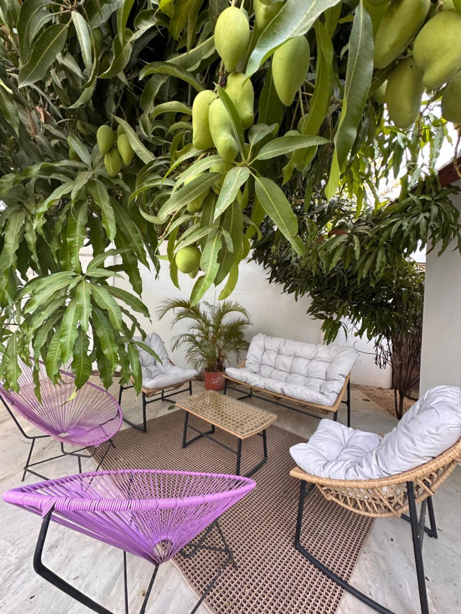 Curiol Boutique Hotel & Lounge Potrero  Exterior foto